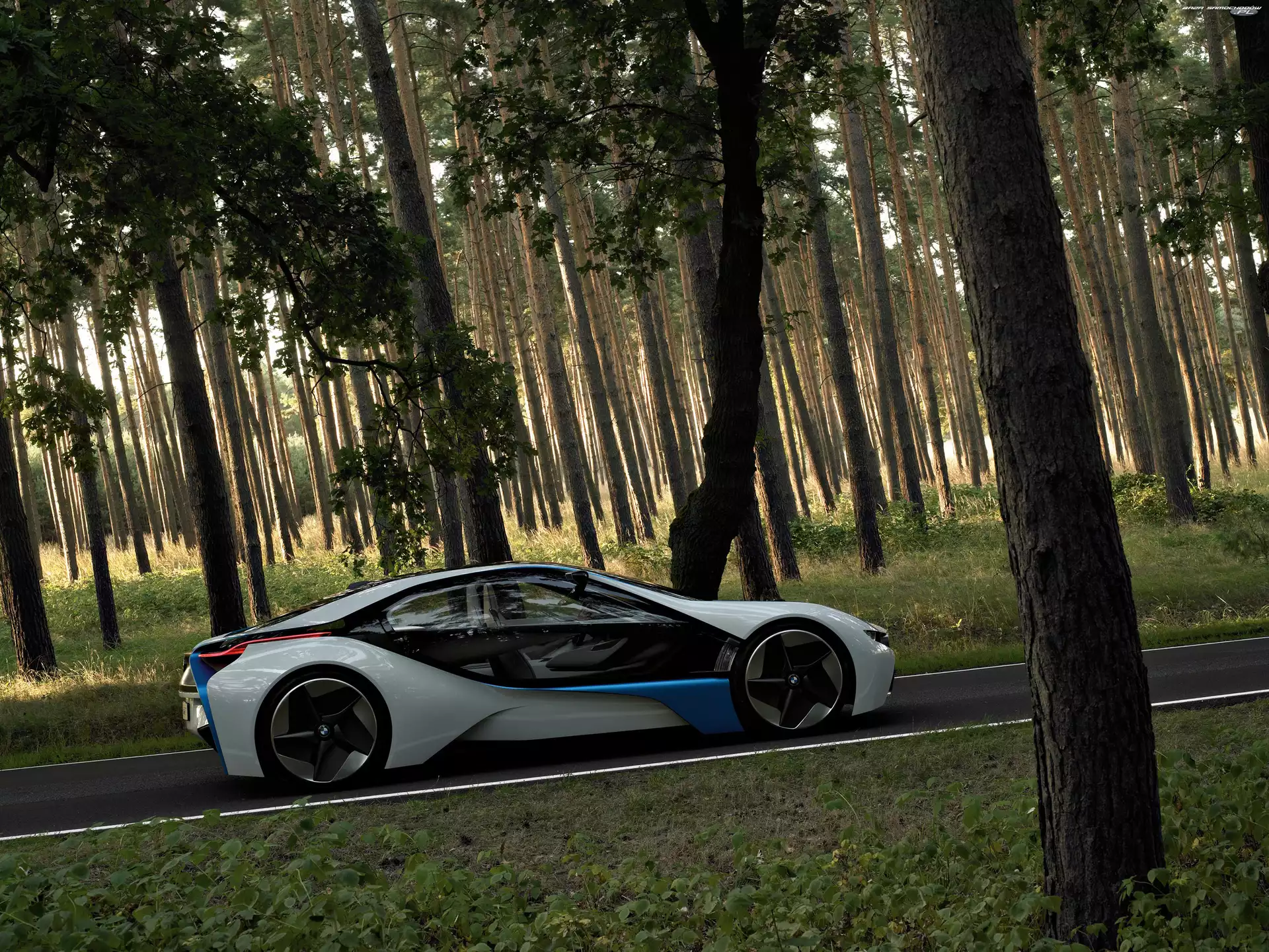 Strona, BMW Vision, Prawa