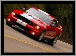 Shelby, Ford Mustang