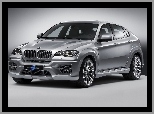 BMW X6, Hartge